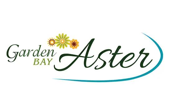 Shalimar Garden Bay Aster