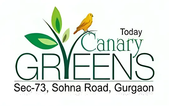 Today Canary Greens