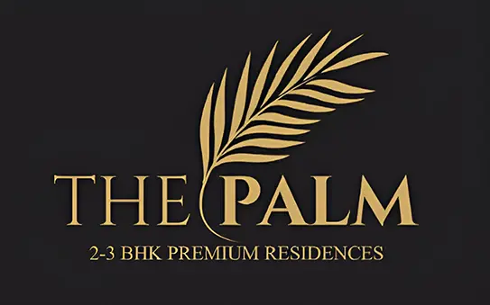 Aashish The Palm