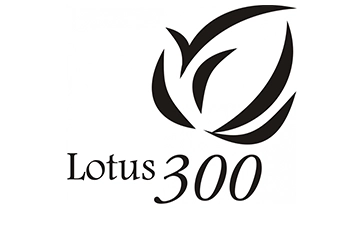 Lotus 300