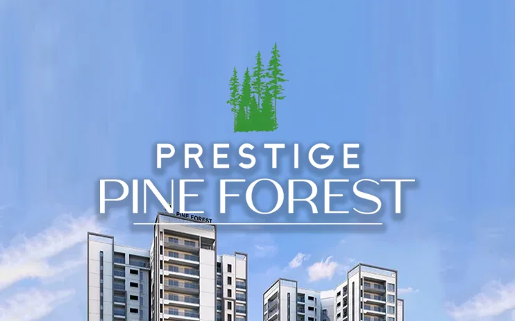Prestige Pine Forest