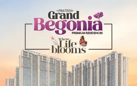 Prateek Grand Begonia