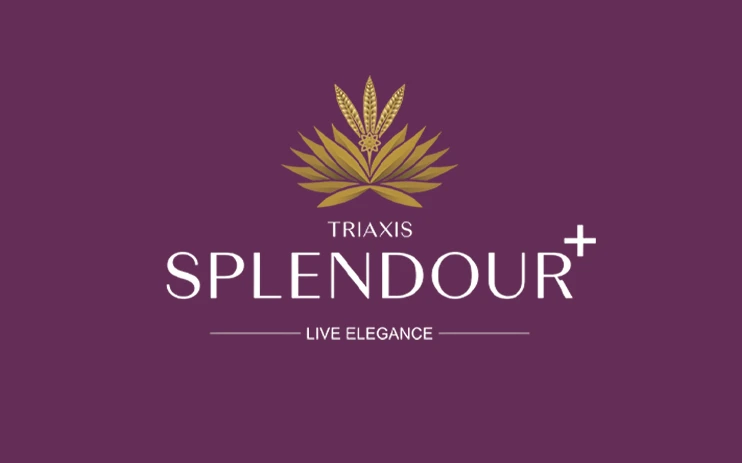 Triaxis Splendour Plus