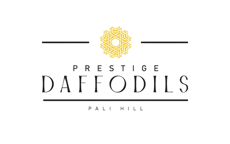 Prestige Daffodils