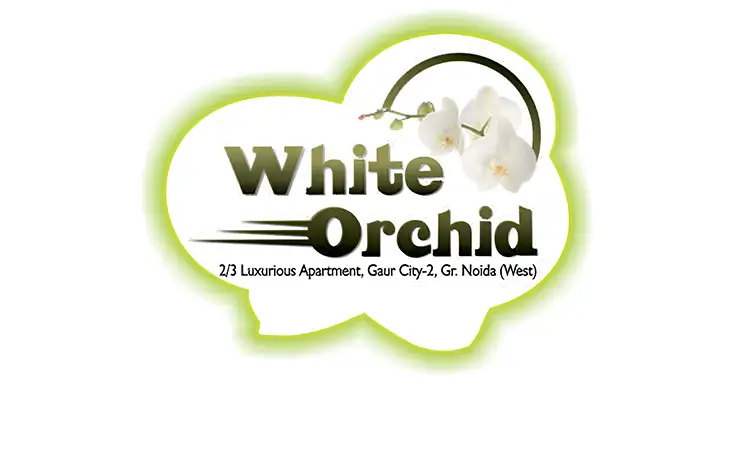 Town Park White Orchid