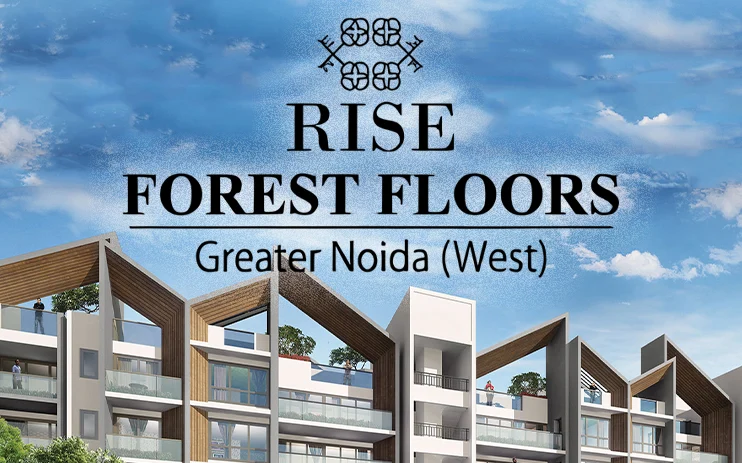 Rise Forest Floors