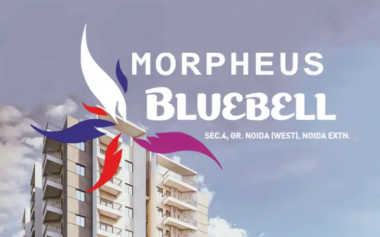 Morpheus Bluebell